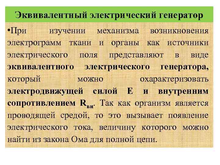 Эквивалентный электрический генератор • При изучении механизма возникновения электрограмм ткани и органы как источники