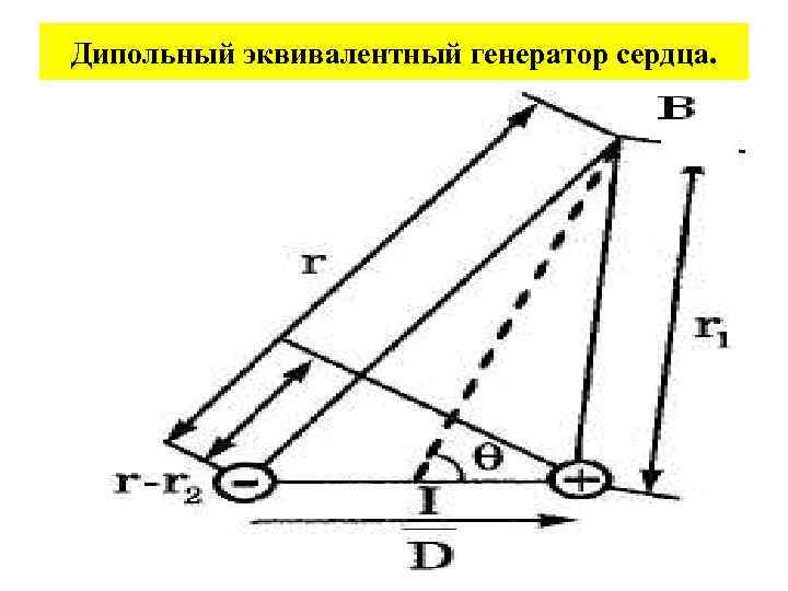 Дипольный эквивалентный генератор сердца. 