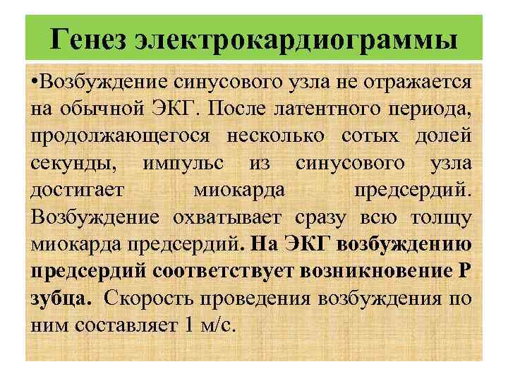 Генез электрокардиограммы • Возбуждение синусового узла не отражается на обычной ЭКГ. После латентного периода,