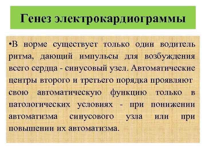 Генез электрокардиограммы • В норме существует только один водитель ритма, дающий импульсы для возбуждения