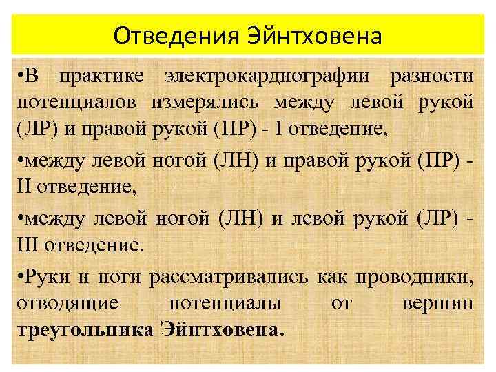 Отведения Эйнтховена • В практике электрокардиографии разности потенциалов измерялись между левой рукой (ЛР) и