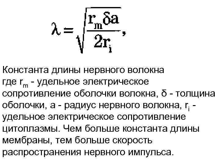 Константа длины нервного волокна где rm - удельное электрическое сопротивление оболочки волокна, δ -