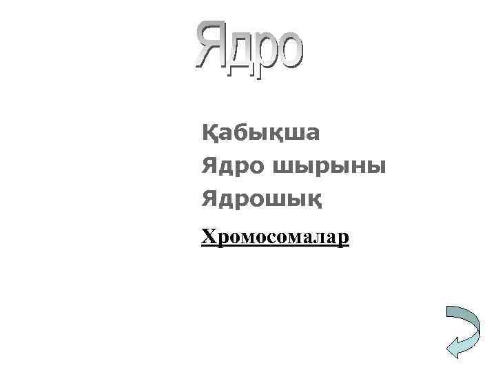 Қабықша Ядро шырыны Ядрошық Хромосомалар 