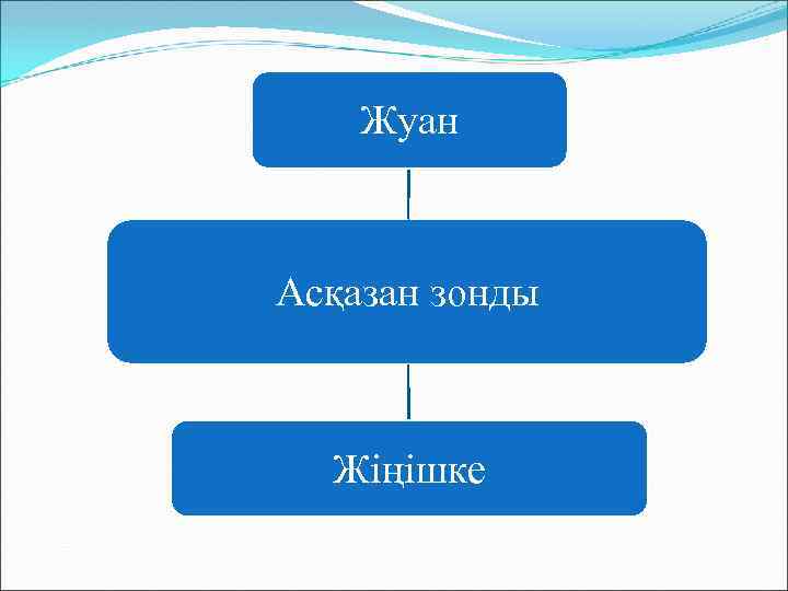 Жуан Асқазан зонды Жіңішке 