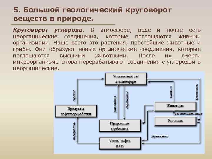 5. Большой геологический круговорот веществ в природе. Круговорот углерода. В атмосфере, воде и почве