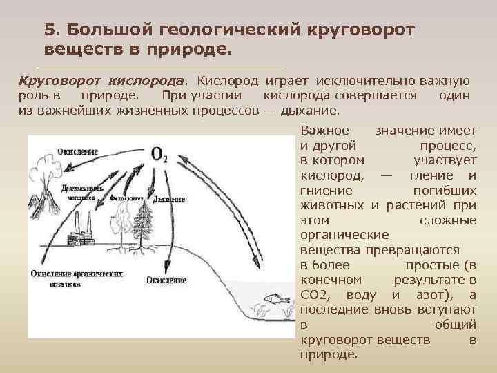 5. Большой геологический круговорот веществ в природе. Круговорот кислорода. Кислород играет исключительно важную роль