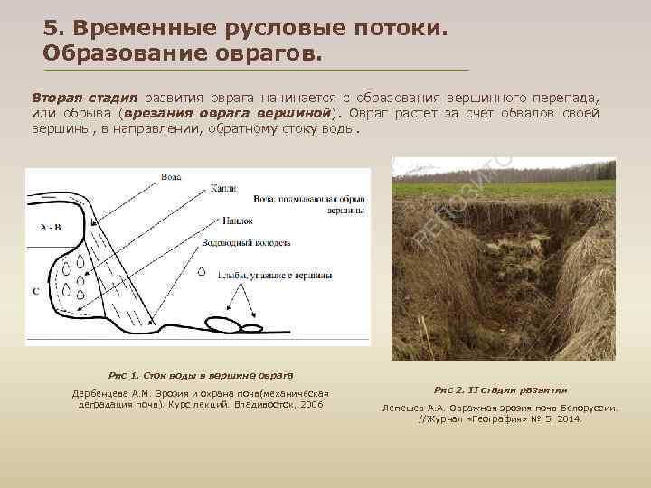 5. Временные русловые потоки. Образование оврагов. Вторая стадия развития оврага начинается с образования вершинного