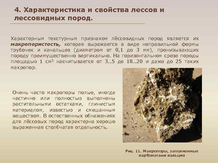 4. Характеристика и свойства лессов и лессовидных пород. Характерным текстурным признаком лёссовидных пород является