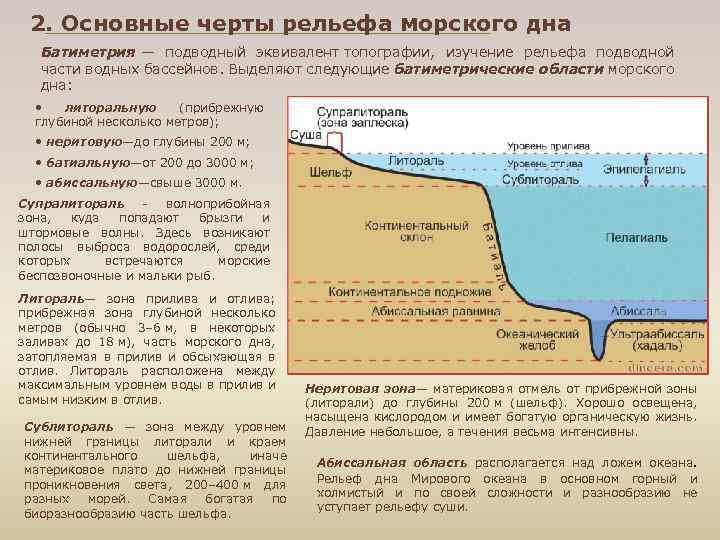 2. Основные черты рельефа морского дна Батиметрия — подводный эквивалент топографии, изучение рельефа подводной