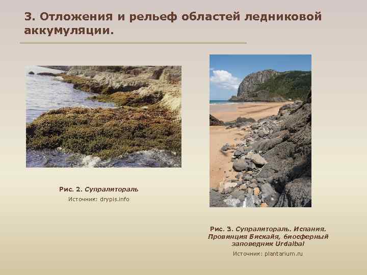3. Отложения и рельеф областей ледниковой аккумуляции. Рис. 2. Супралитораль Источник: drypis. info Рис.