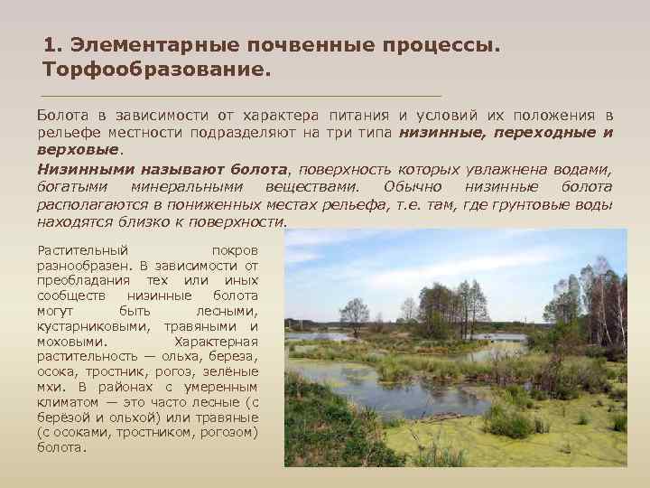 1. Элементарные почвенные процессы. Торфообразование. Болота в зависимости от характера питания и условий их