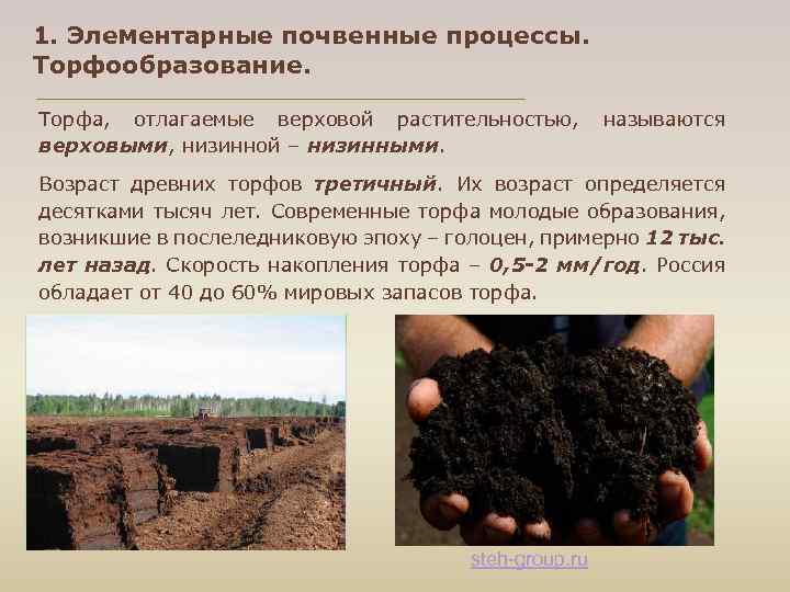 1. Элементарные почвенные процессы. Торфообразование. Торфа, отлагаемые верховой растительностью, называются верховыми, низинной – низинными.