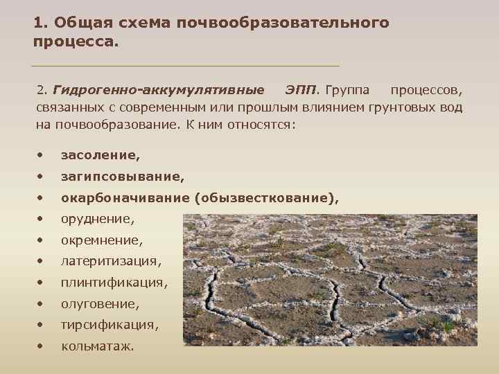1. Общая схема почвообразовательного процесса. 2. Гидрогенно аккумулятивные ЭПП. Группа процессов, связанных с современным