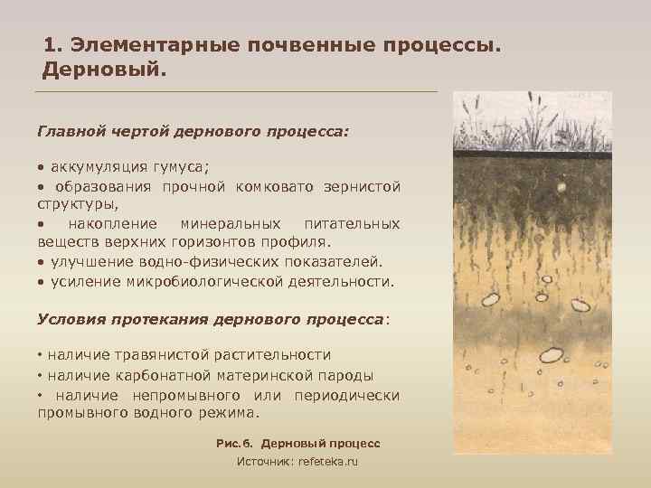 1. Элементарные почвенные процессы. Дерновый. Главной чертой дернового процесса: • аккумуляция гумуса; • образования