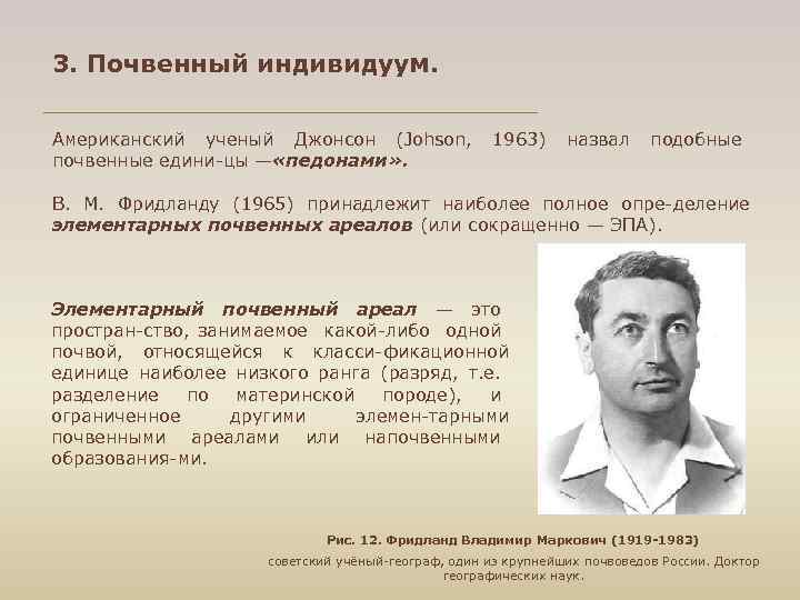 3. Почвенный индивидуум. Американский ученый Джонсон (Johson, 1963) назвал подобные почвенные едини цы —