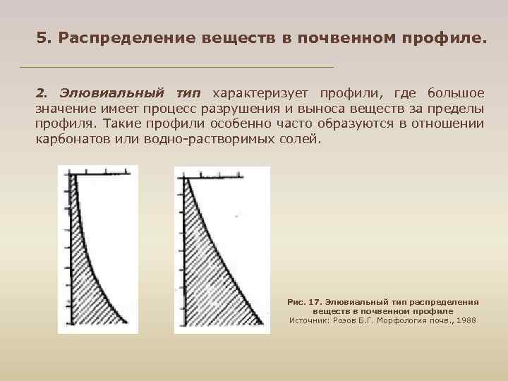 5. Распределение веществ в почвенном профиле. 2. Элювиальный тип характеризует профили, где большое значение
