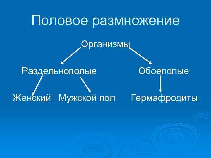 Половое размножение Организмы Раздельнополые Обоеполые Женский Мужской пол Гермафродиты 