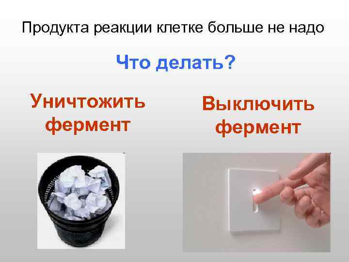 Продукта реакции клетке больше не надо   Что делать?  Уничтожить  Выключить