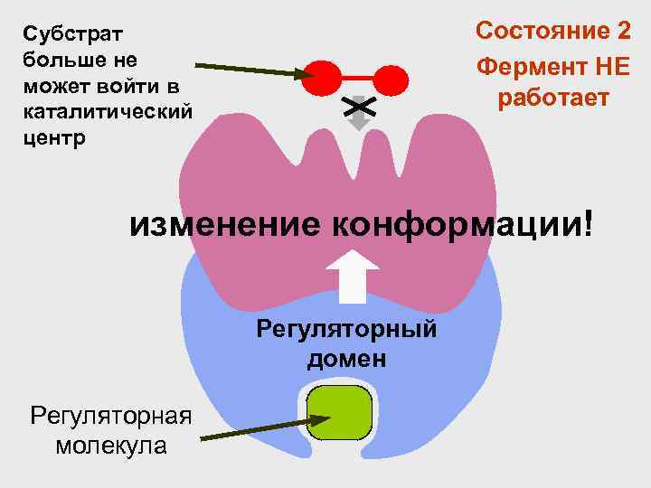 Субстрат    Состояние 2 больше не    Фермент НЕ может