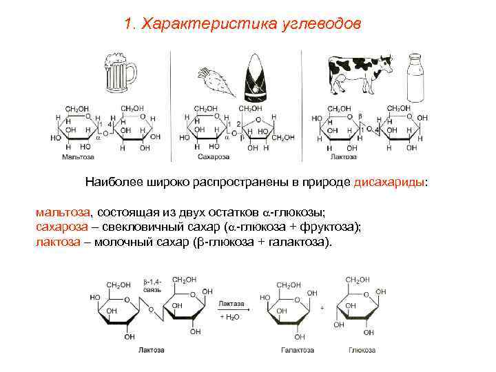    1. Характеристика углеводов   Наиболее широко распространены в природе дисахариды: