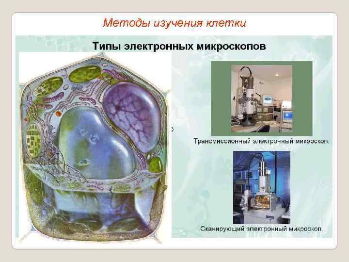 Методы изучения клетки 
