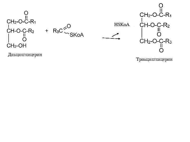    HSKo. A Диацилглицерин     Триацилглицерин 