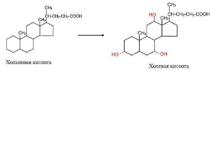 Холановая кислота     Холевая кислота 