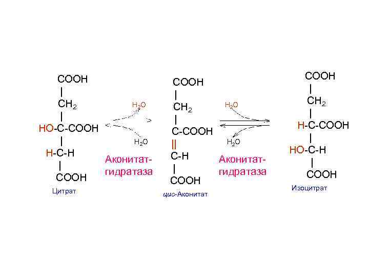   COOH     COOH |     |