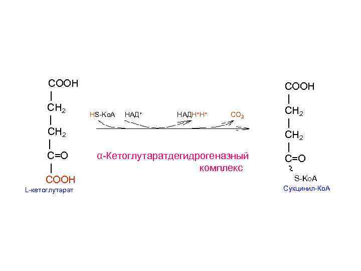  COOH       COOH  | CH 2 