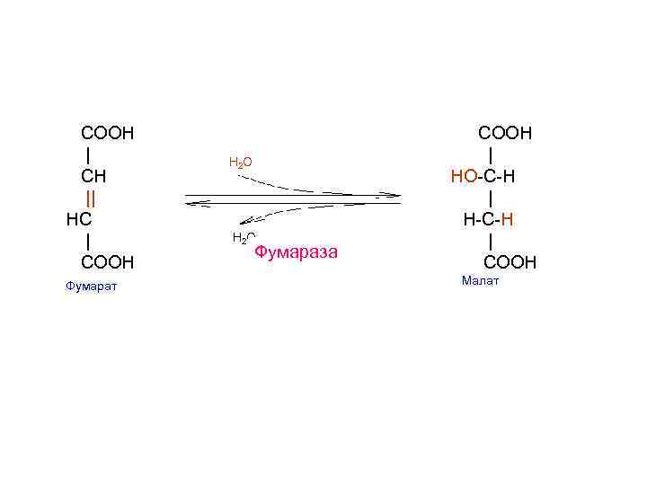  COOH  |  H 2 O   | CH  