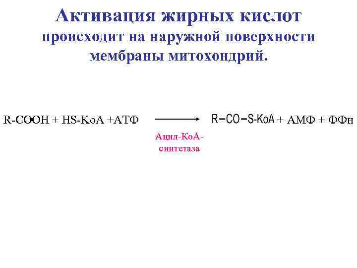   Активация жирных кислот происходит на наружной поверхности  мембраны митохондрий.  R-COOH
