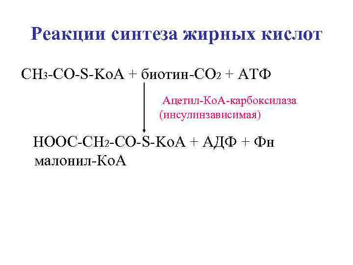 Реакция синтеза жиров. Ацетил КОА со2 АТФ. Синтез жирных кислот биотин. Ацетил КОА со2 АТФ малонил КОА. Малонил Синтез жирных кислот.
