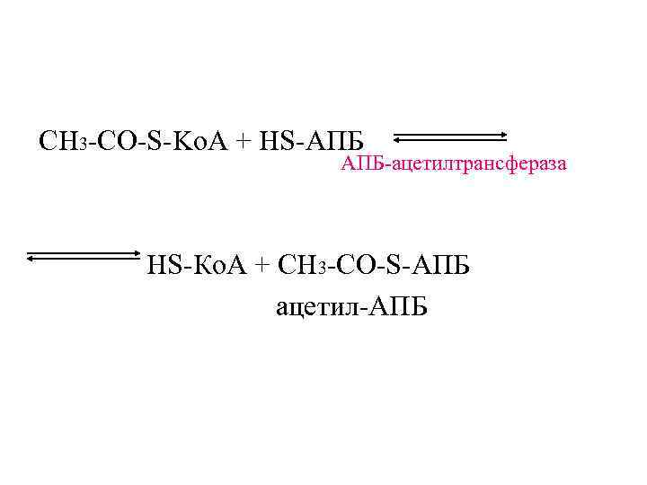 СН 3 -CО-S-Ko. A + HS-АПБ    АПБ-ацетилтрансфераза   HS-Ко. А