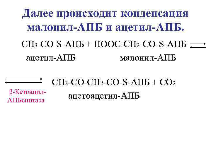   Далее происходит конденсация малонил-АПБ и ацетил-АПБ. СН 3 -CО-S-АПБ + НООС-СН 2