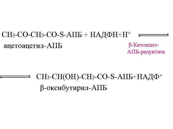 СН 3 -CО-СН 2 -CО-S-АПБ + НАДФН+Н+ ацетоацетил-АПБ   β-Кетоацил-   
