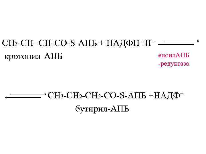 СН 3 -CH=СН-CО-S-АПБ + НАДФН+Н+ кротонил-АПБ    еноил. АПБ   
