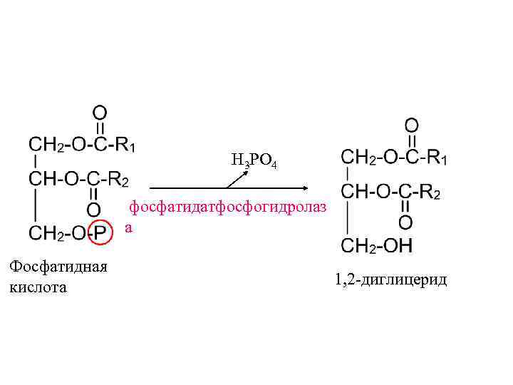      H 3 PO 4   фосфатидатфосфогидролаз  