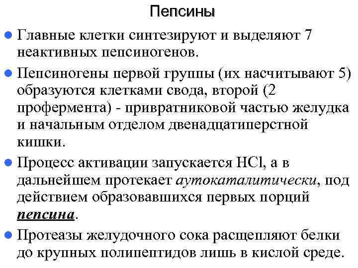     Пепсины l Главные клетки синтезируют и выделяют 7  неактивных