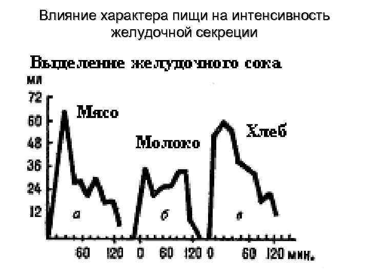 Влияние характера пищи на интенсивность   желудочной секреции 