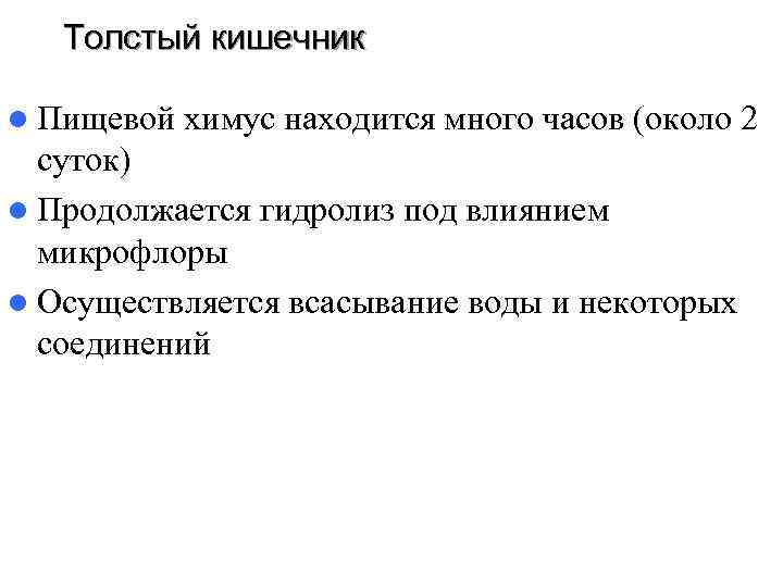 Толстый кишечник l Пищевой химус находится много часов (около 2 Толстый кишечник l Пищевой химус находится много часов (около 2