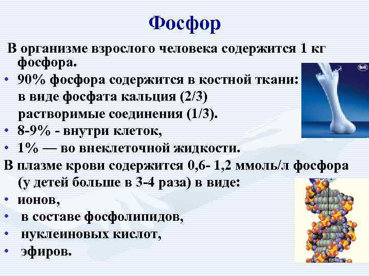     Фосфор  В организме взрослого человека содержится 1 кг фосфора.