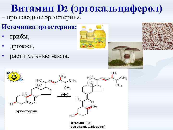  Витамин D 2 (эргокальциферол) – производное эргостерина. Источники эргостерина:  • грибы, 