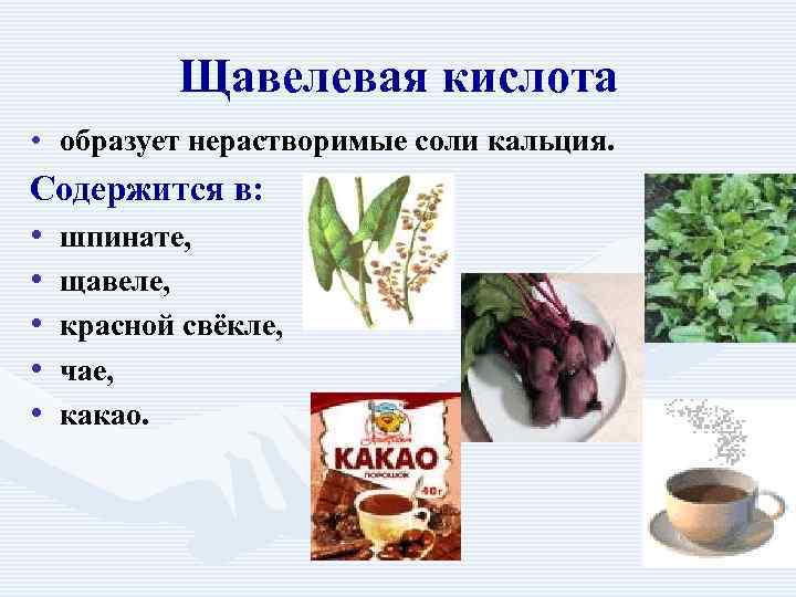    Щавелевая кислота • образует нерастворимые соли кальция. Содержится в:  •