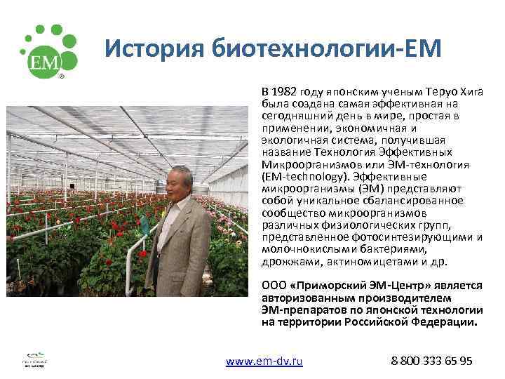 История биотехнологии-ЕМ   В 1982 году японским ученым Теруо Хига   была