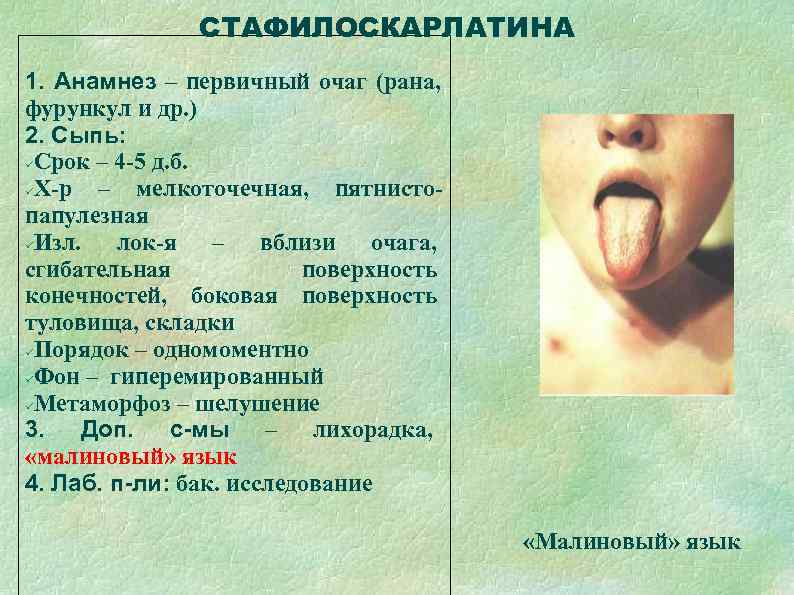     СТАФИЛОСКАРЛАТИНА 1. Анамнез – первичный очаг (рана, фурункул и др.