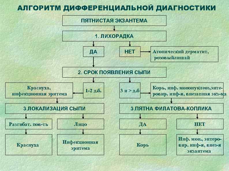   АЛГОРИТМ ДИФФЕРЕНЦИАЛЬНОЙ ДИАГНОСТИКИ      ПЯТНИСТАЯ ЭКЗАНТЕМА  