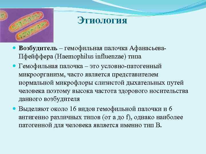 Этиология Возбудитель – гемофильная палочка Афанасьева Пфейффера (Haemophilus Этиология Возбудитель – гемофильная палочка Афанасьева Пфейффера (Haemophilus