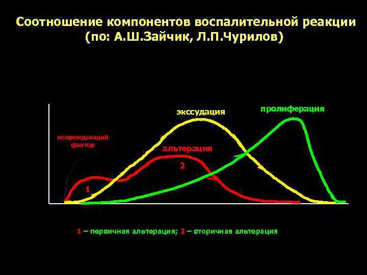 Соотношение компонентов воспалительной реакции   (по: А. Ш. Зайчик, Л. П. Чурилов) 