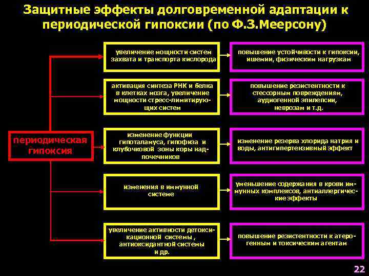  Защитные эффекты долговременной адаптации к  периодической гипоксии (по Ф. З. Меерсону) 