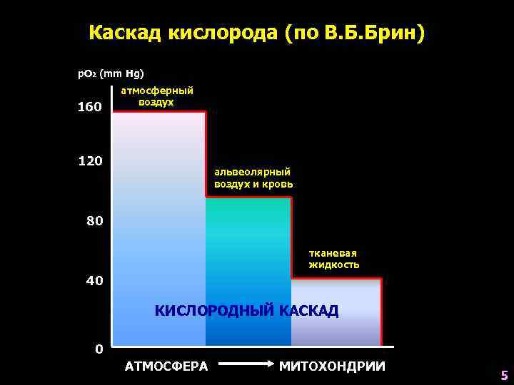  Каскад кислорода (по В. Б. Брин) р. О 2 (mm Hg)  атмосферный